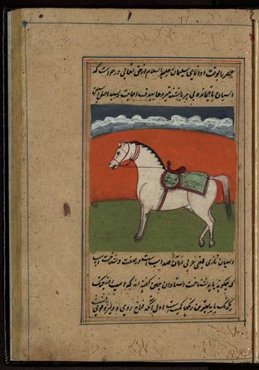 Image of Excerpt from 'The Book of Horses' (فَرَس نامه [رسالة في الخيول)