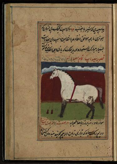 Image of Excerpt from 'The Book of Horses' (فَرَس نامه [رسالة في الخيول)