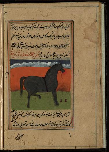 Image of Excerpt from 'The Book of Horses' (فَرَس نامه [رسالة في الخيول)