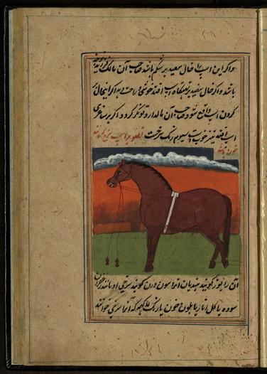 Image of Excerpt from 'The Book of Horses' (فَرَس نامه [رسالة في الخيول)