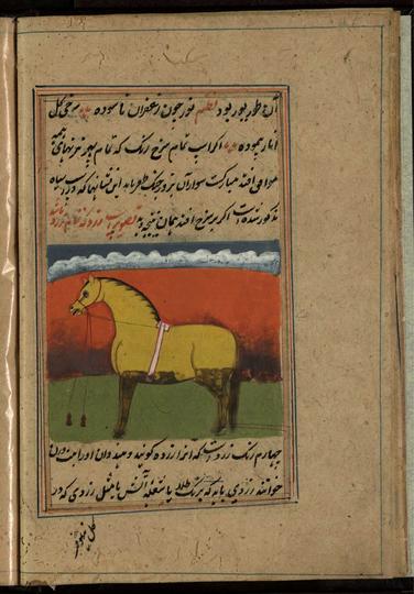 Image of Excerpt from 'The Book of Horses' (فَرَس نامه [رسالة في الخيول)